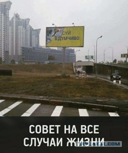 Пора что то делать. Примерно треть детей рожденных в браке, по результатам тестов ДНК оказываются от чужих мужчин