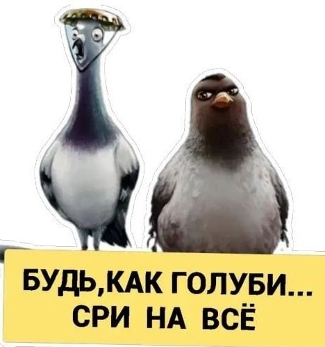 50+ Кто чем занимается во второй половине жизни?