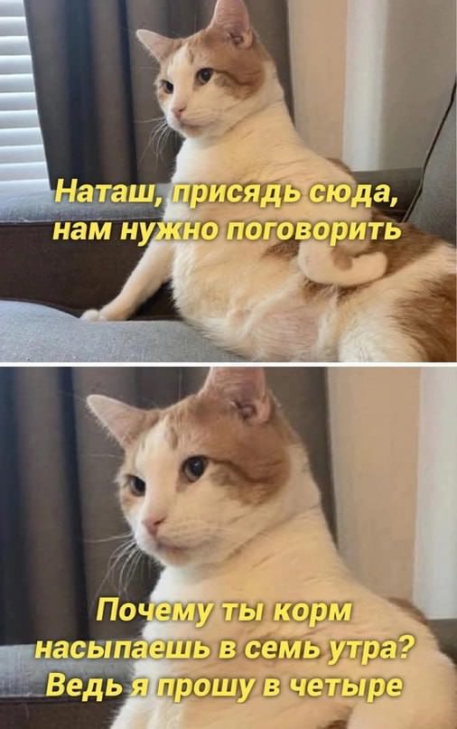 Веселые картинки в маленькую пятницу (26.03)
