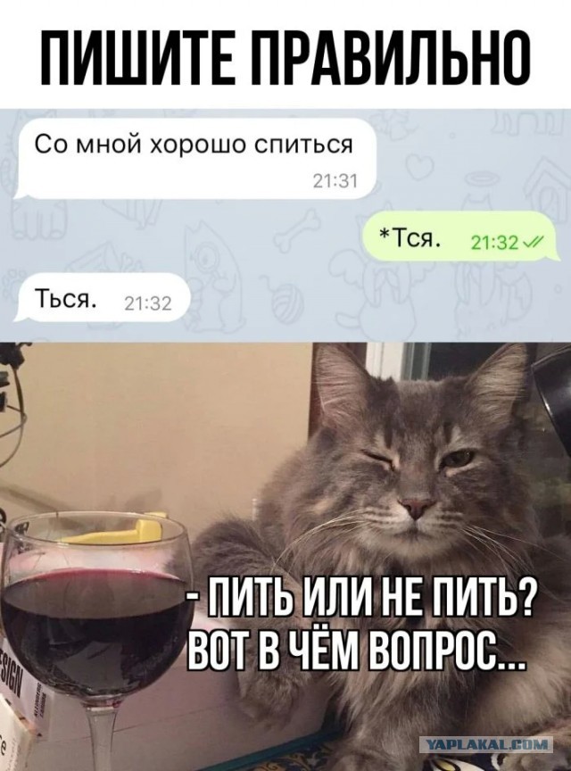 Юмор для тех, кто уже повзрослел и понял, что выходные — это миф