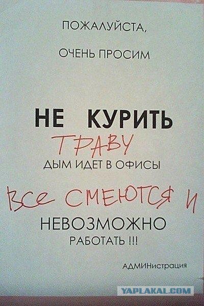 Поколение альфа