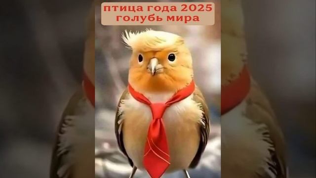 Трамп разочаровался в Путине. Он пообещал Зеленскому столько военной помощи, сколько США смогут позволить.