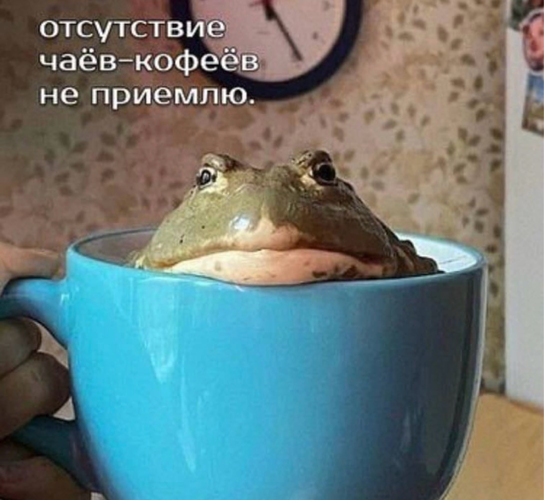 Веселое настроение в картинках (04.08.2025)