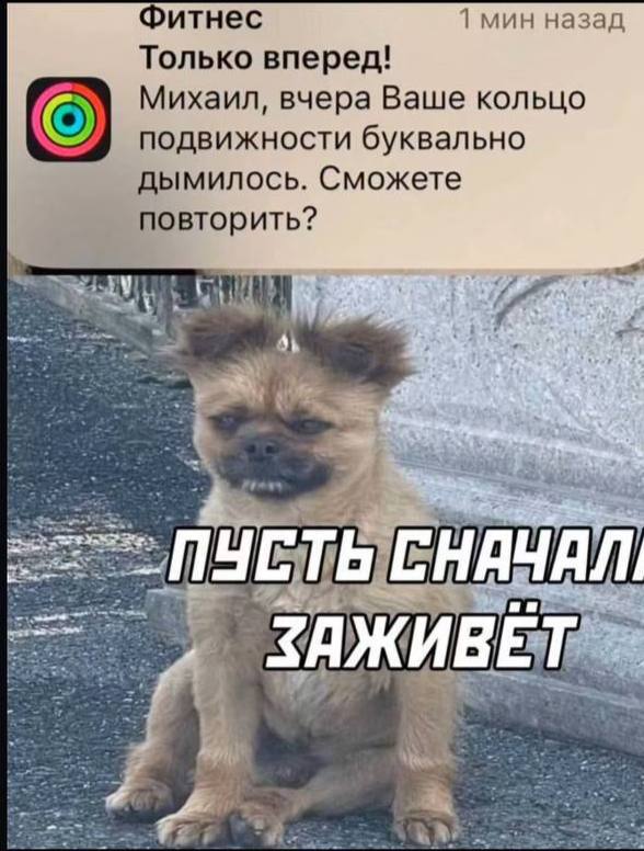 Веселые картинки в маленькую пятницу (05.11)