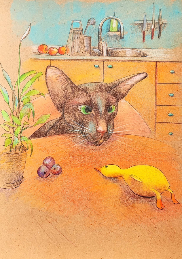 Мои рисунки