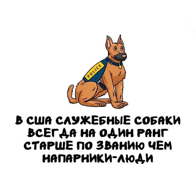 Подборка интересных фактов на все случаи жизни 26.11.25