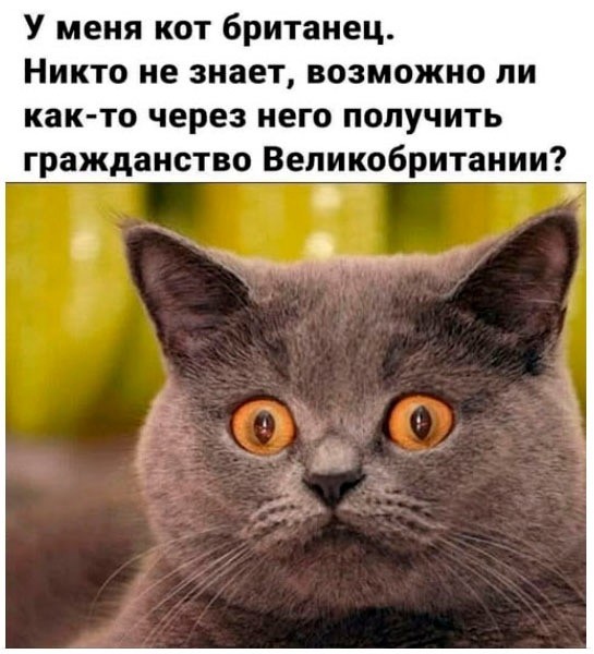 Вторника картинки