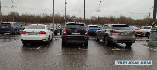 Королева парковки.