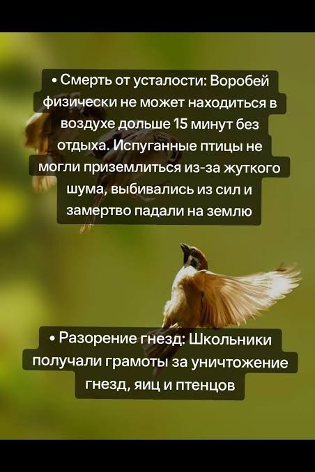 Воробьёв снова пересчитают по всей России
