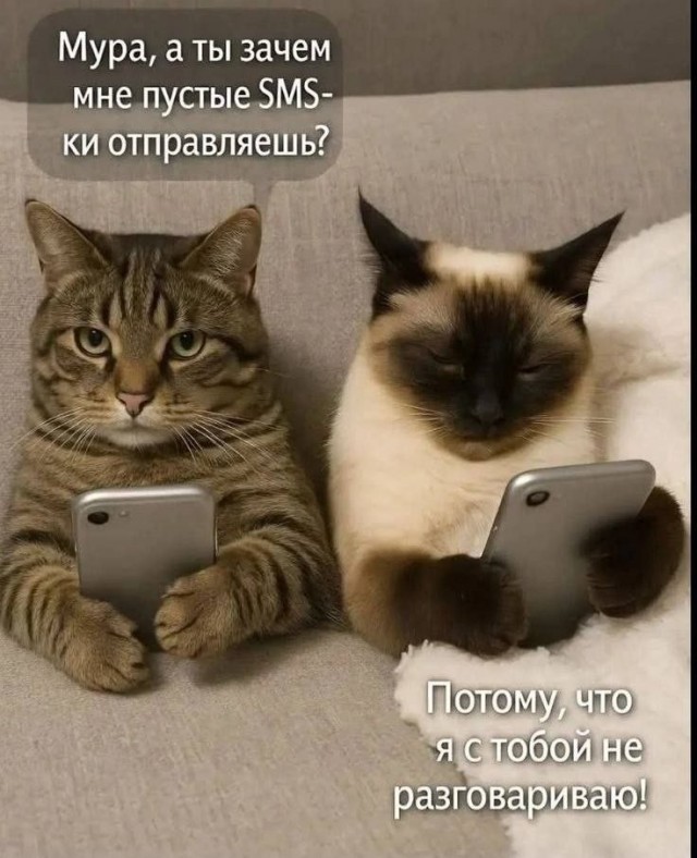 К котовторнику: подборка картинок-баянов с котиками и про котиков. Выпуск 43.