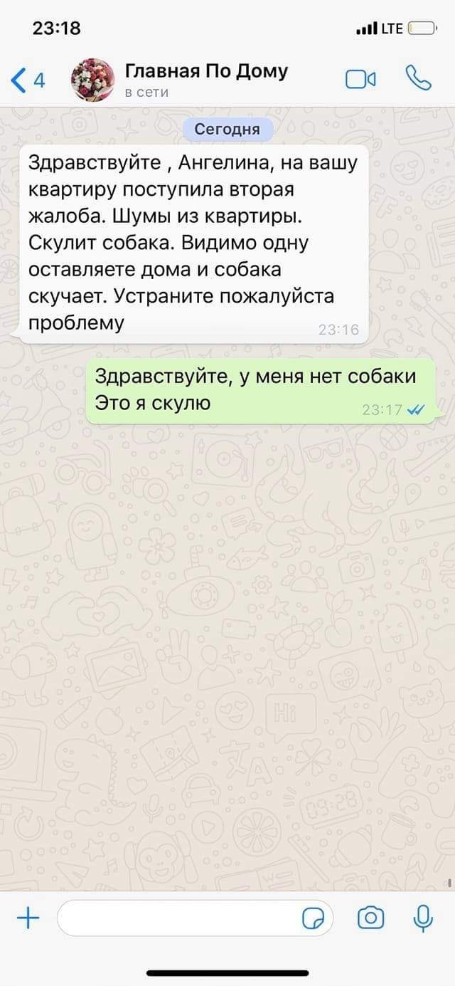 Интересно, прокатит или нет?
