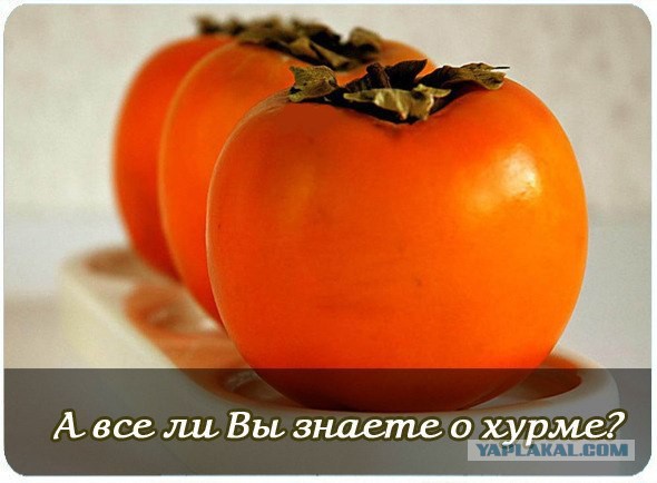 Сам напросился. Доходчиво объяснили...