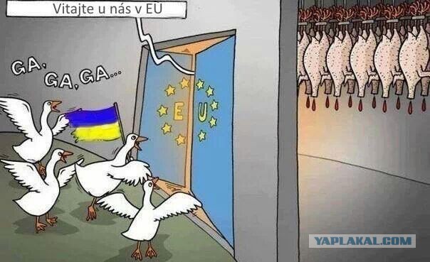 На злобу дня!