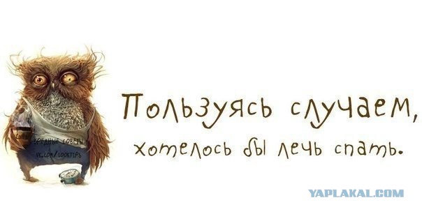Смешные комментарии из социальных сетей (апрель)