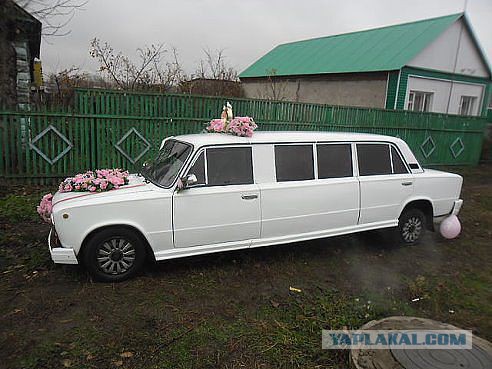 Подборка забавных фотографий