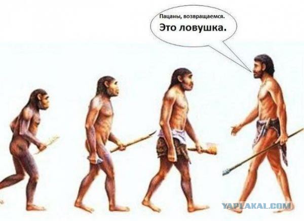 Одна из возможных причин эволюции