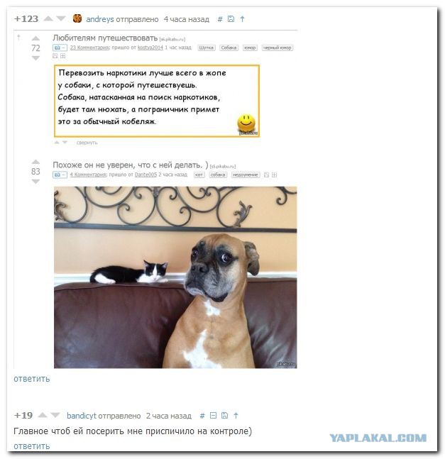 Картинки с просторов интернета