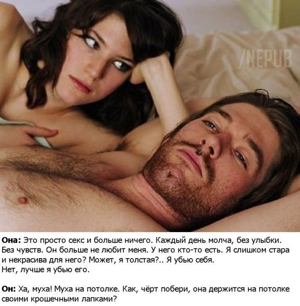 Смешные картинки с подписями 2
