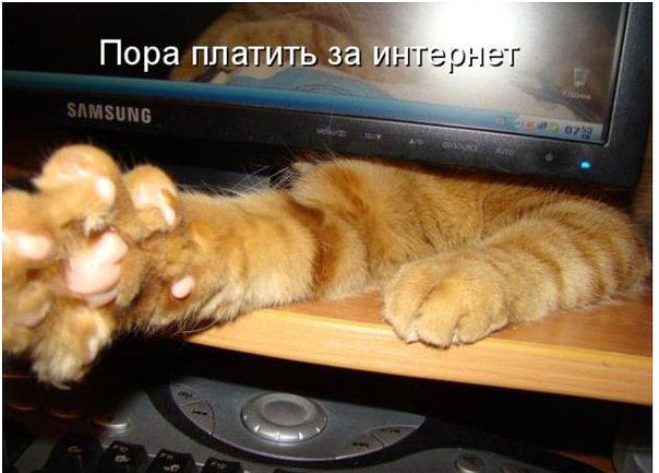 Улыбнуло часть "2"