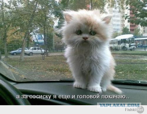 Кому юки отсыпать?