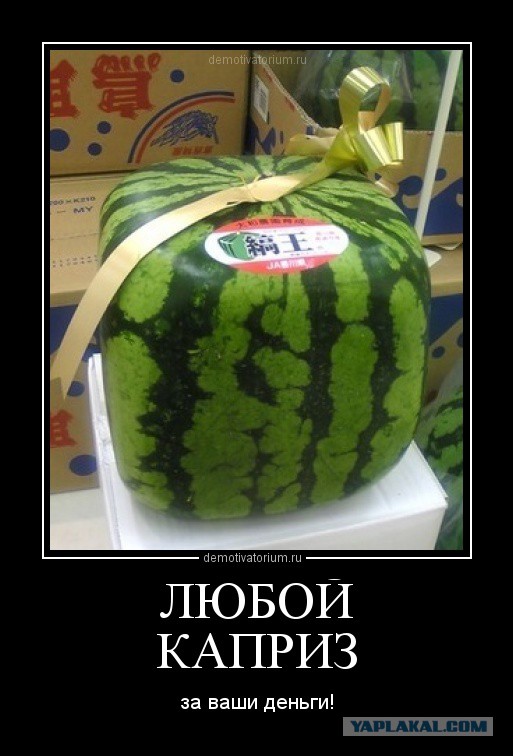 Чёрт, чёрт, чёрт!