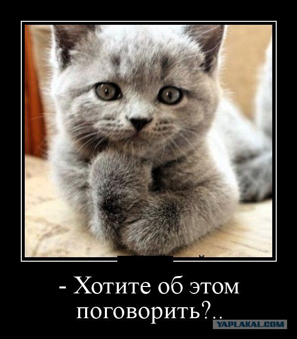 Чёрт, чёрт, чёрт!