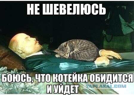 Немного позитива на пятницу