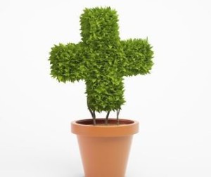 "Я работаю с полнейшими идиотами..."