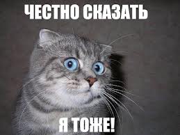 А они всё-таки есть...