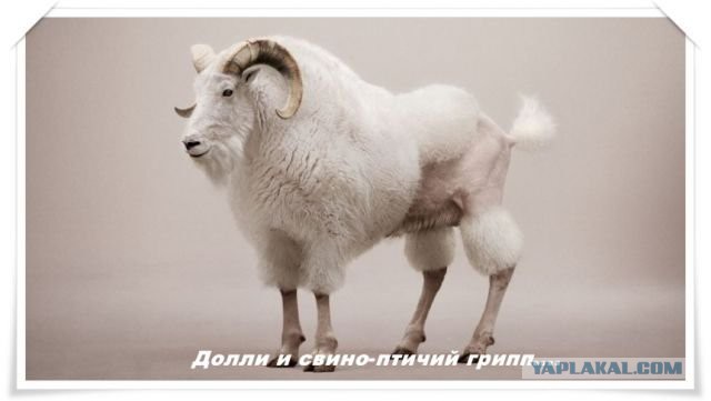 С Тяпницей!
