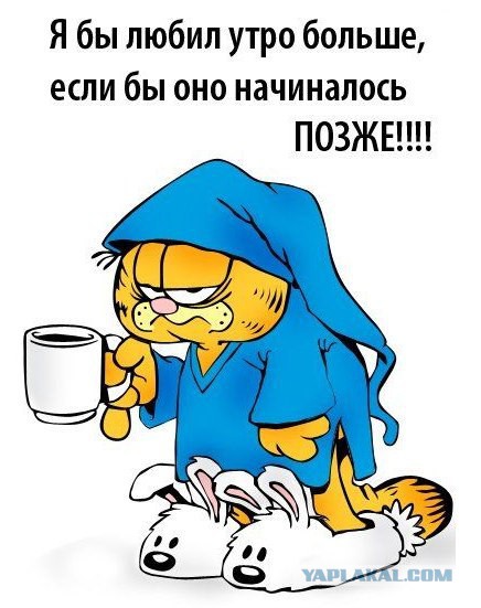 Утро доброе?