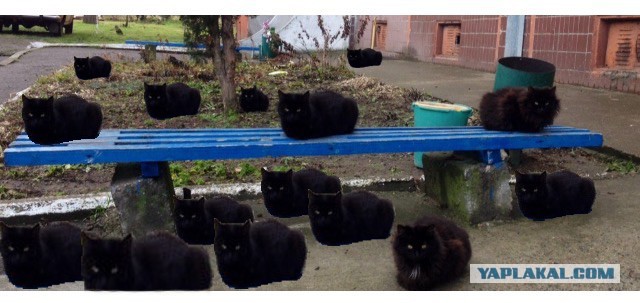Вышел я сегодня на работу, а там...