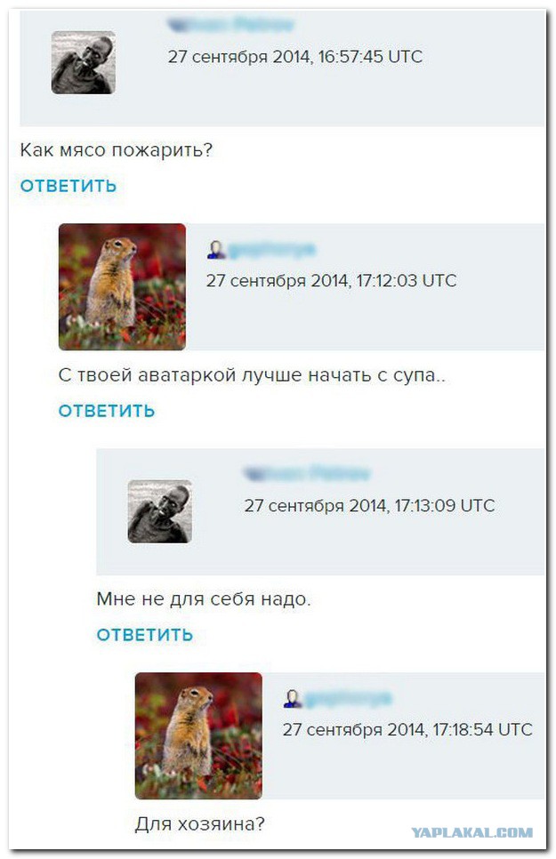 Смешные комментарии из социальных сетей