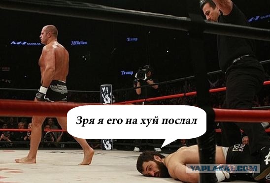 Вышел на бой с Емельяненко и чёт приуныл...