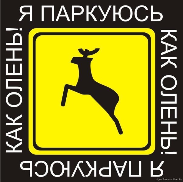 Они ищут виноватых