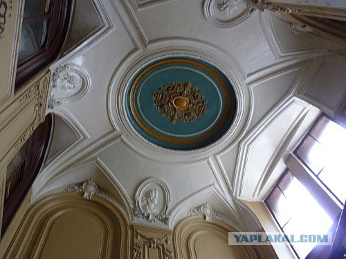 Парадные Петербурга
