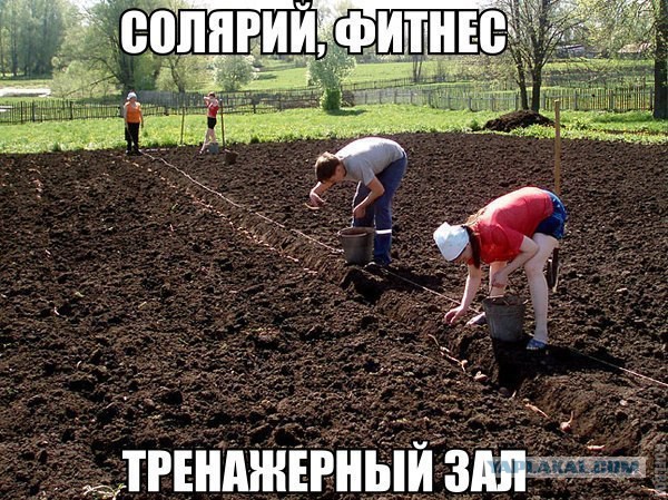 Прикольные картинки из сети