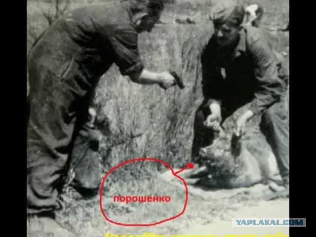 Деньги для Крыма пошли на итальянский мрамор