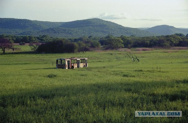 Подборка брошенной техники