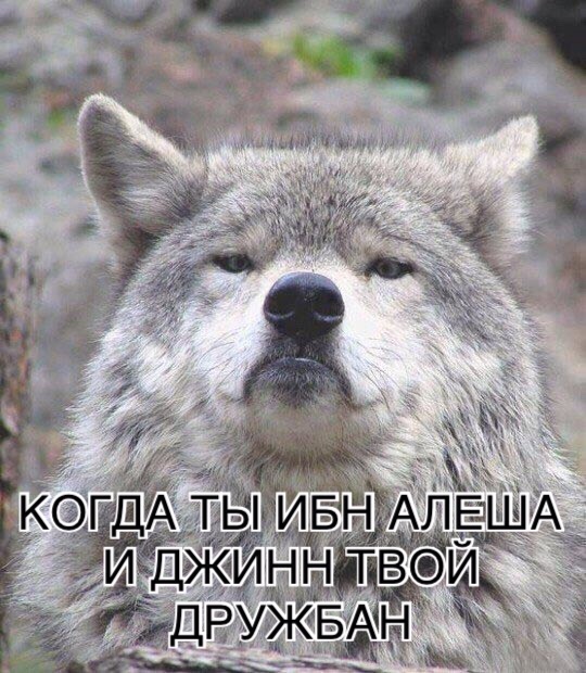 Придет серенький волчок