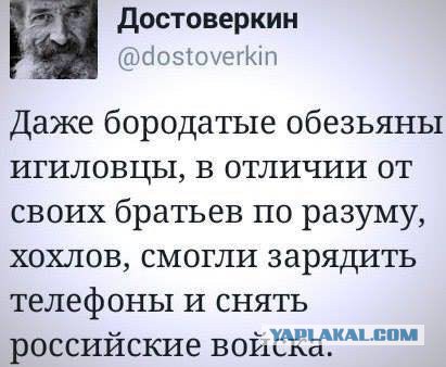 10 политических картинок часть 11