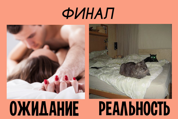 Секс: ожидание vs реальность