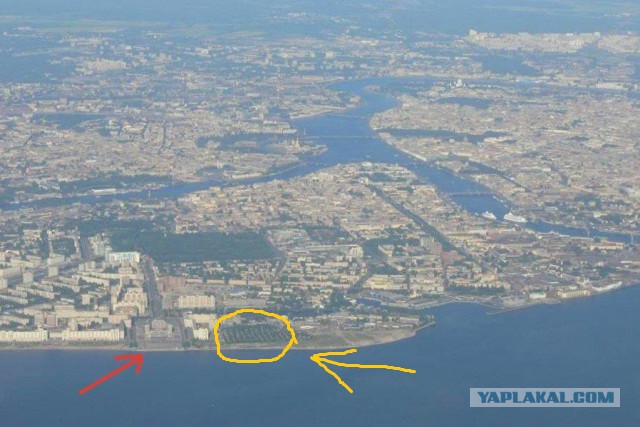 В Петербурге засыпают море