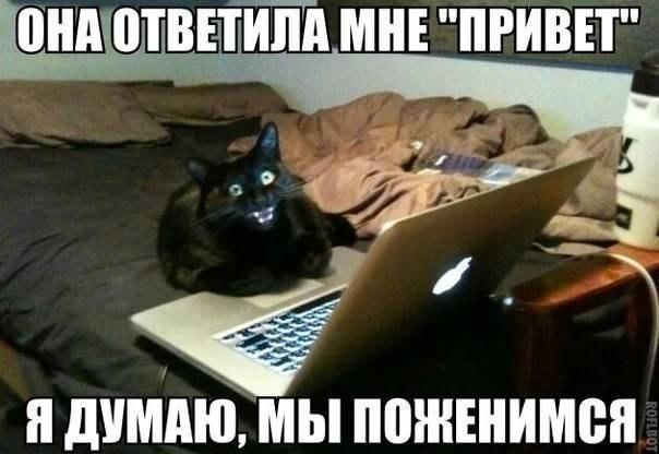 Мохнатые беспредельщики