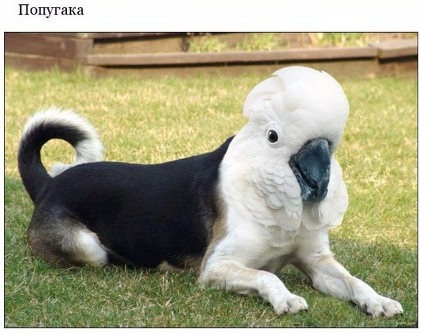 Подборка интересных и веселых картинок