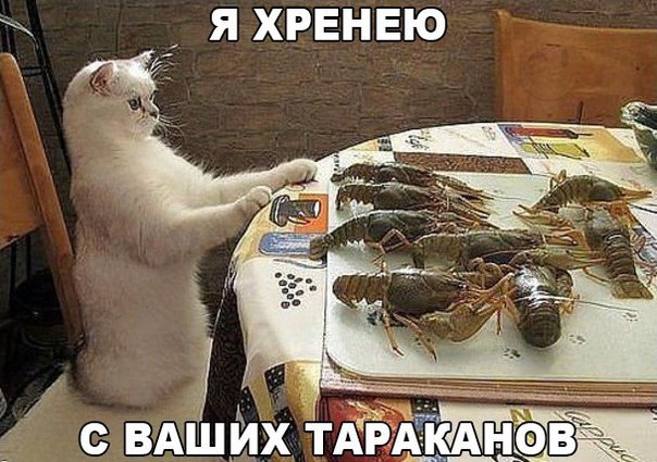 Божьи твари