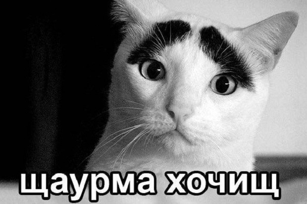 Подборка интересных и веселых картинок