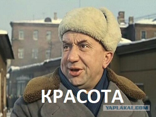 Барышни из соцсетей