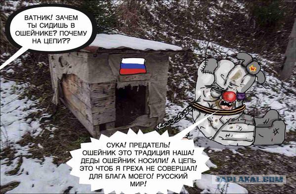 Что про нас пишут на Youtube?