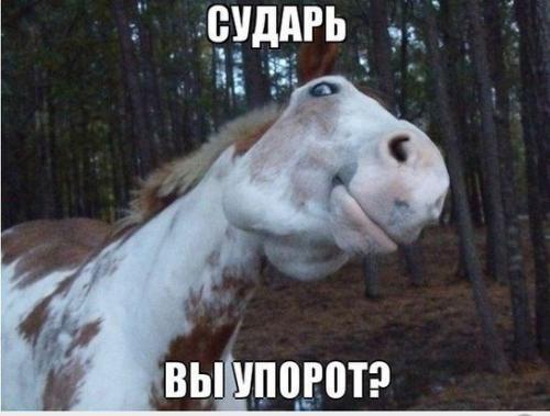 Наркоман, штоле? Тогда заходи